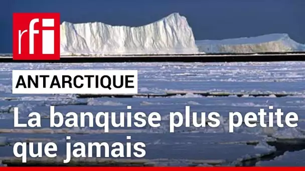 Antarctique : la banquise plus petite que jamais • RFI