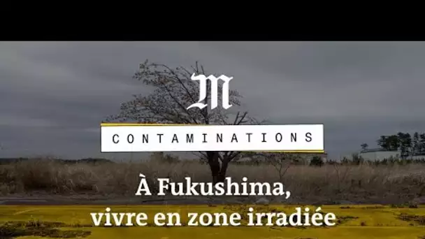 Contaminations : À Fukushima, ils vivent en zone irradiée