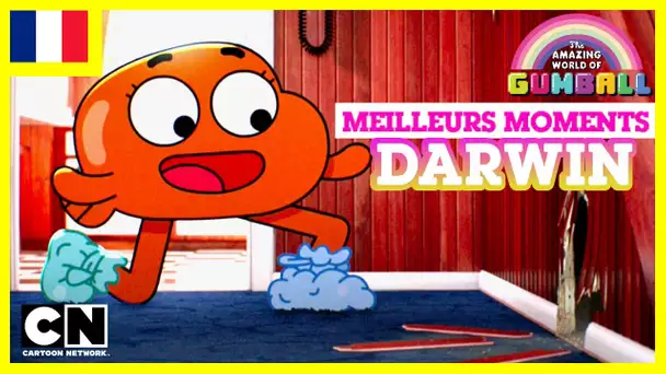 Le Monde Incroyable de Gumball 🇫🇷 | Les meilleurs moments de Darwin #3