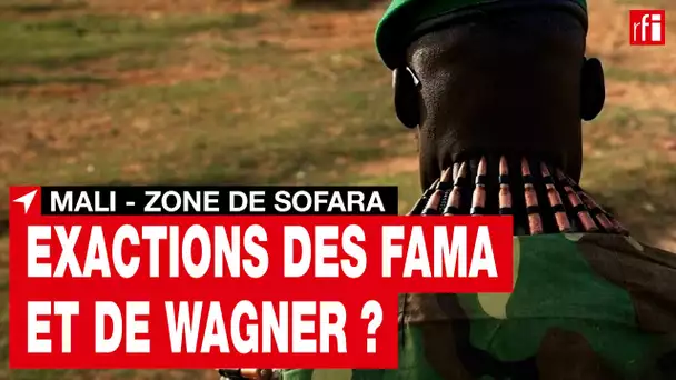 Exactions de l’armée malienne et de ses supplétifs russes ? : la zone de Sofara • RFI
