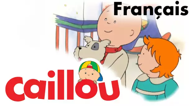 Caillou FRANÇAIS - Caillou répond au téléphone  (S01E53) | conte pour enfant | Caillou en Français