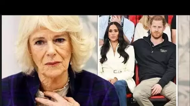 Les conseils de Camilla à Meghan ont laissé Harry furieux car cela les "sortir@it de la photo"