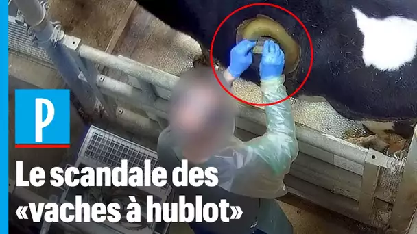 Nagui dénonce les « vaches à hublot » dans une vidéo choc