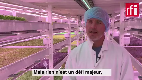 Les fermes verticales en ville, l’agriculture du futur ?