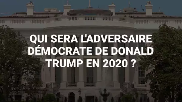 Les candidats démocrates se bousculent pour affronter Donald Trump en 2020