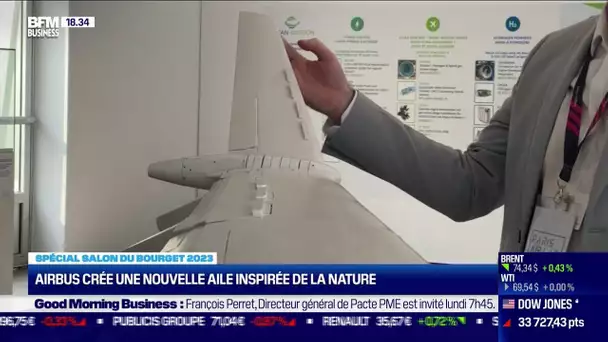 Airbus crée une nouvelle aile inspirée de la nature