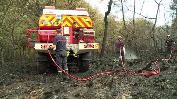 Nouvel incendie en forêt de la Double en Dordogne, un pyromane recherché