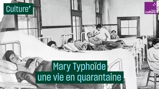 "Mary Tiphoïde" : une vie en quarantaine - #CulturePrime