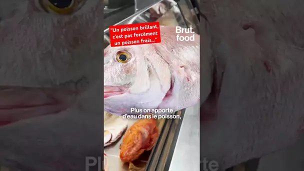Cette poissonnerie dit non à la glace et aux brumisateurs