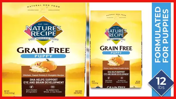 Nature's Recipe Grain Puppy Dry Dog Food, Chicken, Sweet Potato & Pumpkin Recipe, 12 Pound Bag, Easy
