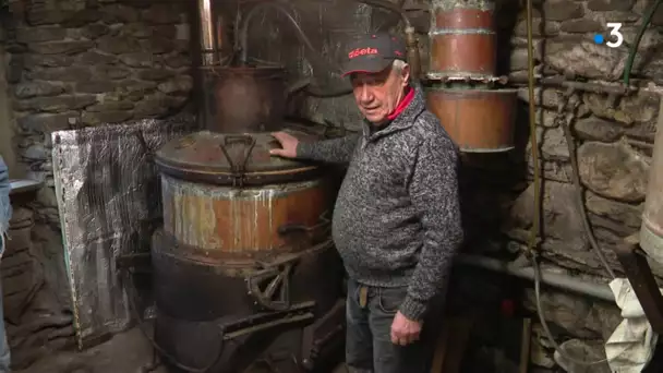 Sainte-Croix-Vallée-Française : Michel le bouilleur de cru et son alambic