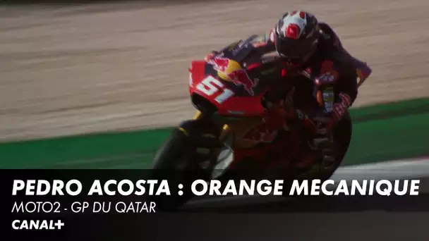 Pedro Acosta : orange mécanique - Moto2 - GP du Qatar
