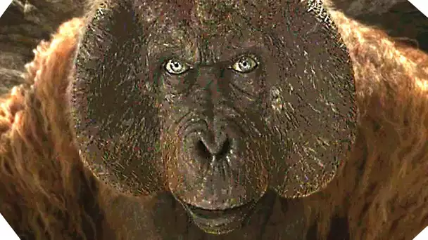 Vidéo 360° - Mowgli dans le temple des singes- LE LIVRE DE LA JUNGLE