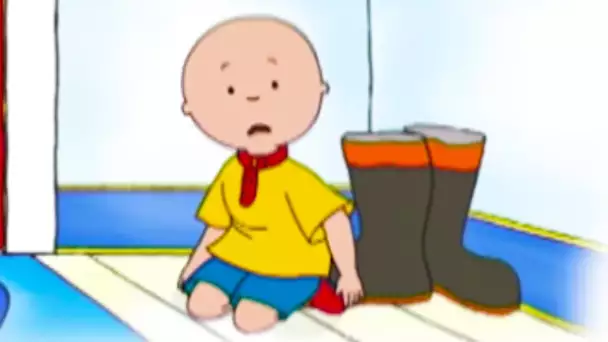 Caillou FRANÇAIS - PLUS QU'UNE HEURE COMPLÈTE Les Aventures de Caillou | conte pour enfant