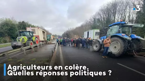 Agriculteurs en colère. Quelles réponses politiques ?