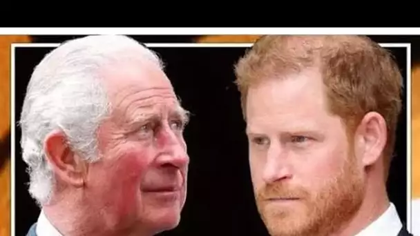 Le roi Charles sous pression pour modifier les règles royales afin d'empêcher Harry ou Andrew de pre