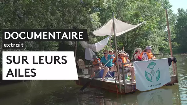 DOCUMENTAIRE - Sur leurs ailes [EXTRAIT]