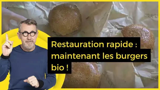 Restauration rapide : maintenant les burgers bio ! - C Jamy