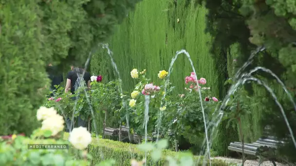 En Espagne pour les Jardins de l’Alhambra, le changement de climat impose de nouvelles normes