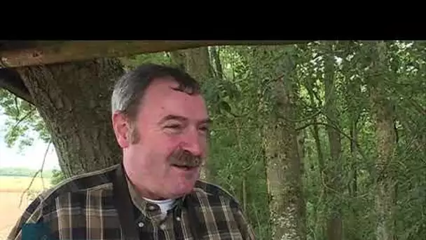 Des "chasseurs vigilants" dans le Haut-Rhin