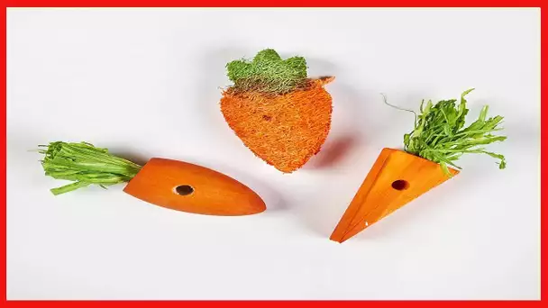 Kaytee 3 Count Chew Toy, Carrot Patch Variety