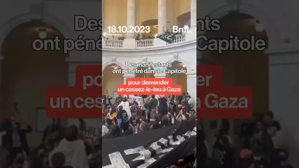 Une centaine de manifestants sont rentrés dans le Capitole pour demander un cessez-le-feu à Gaza.