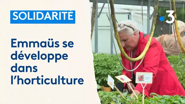Emmaüs Mundo se lance dans l'horticulture et bientôt l'agriculture urbaine