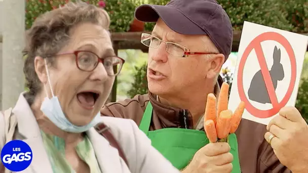Les lapins sont interdit... | Juste Pour Rire Les Gags