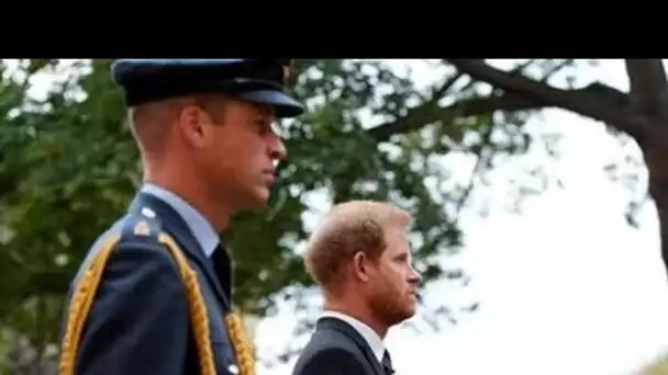 Ce sera très inconfortable": la période difficile de William et Harry alors que The Crown revient