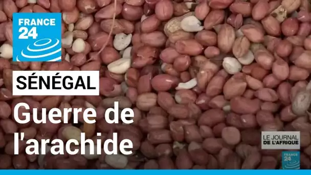 Guerre de l'arachide au Sénégal : les huiliers dénoncent le dumping étrangers • FRANCE 24