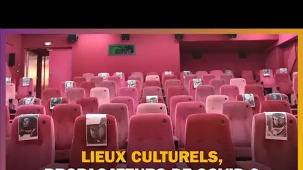 Les lieux culturels sont-ils des clusters ?