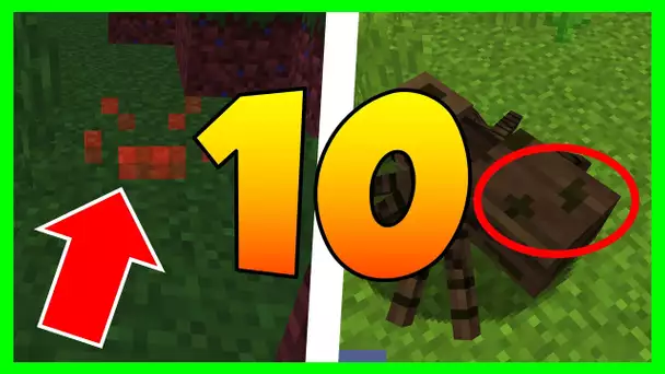 LE SAVIEZ VOUS ? 10 SECRETS SUR L’ARAIGNÉE MINECRAFT