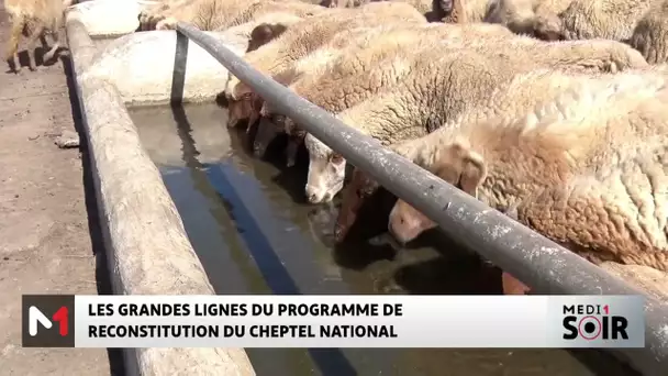 Les grandes lignes du programme de reconstitution du cheptel national