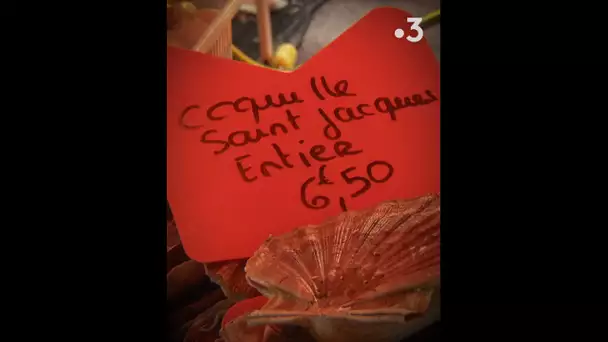 A Dieppe, les coquilles Saint Jacques sont belles pour ce début de saison