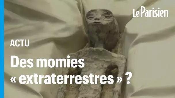 De fausses momies « d'aliens » présentées devant le Parlement du Mexique