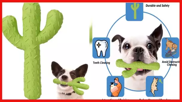 MewaJump Dog Chew Toys, Durable Rubber Dog Toys for Aggressive Chewers, Cactus Tough Toys for Traini