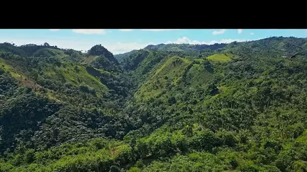 Envie de découvrir les paysages les plus verts de la République dominicaine ? Rendez-vous à Sa…