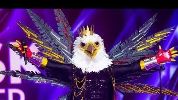 Mask Singer  l'aigle fait une incroyable chute de scène en pleine prestation