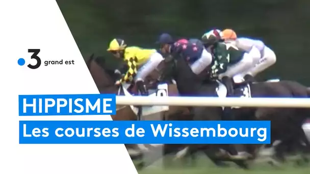 Le succès des courses hippiques de Wissembourg