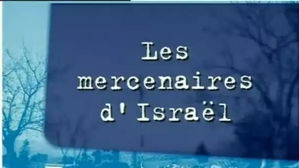 Encadré armée du Liban Sud