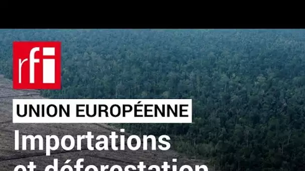 UE - déforestation : quels produits sont concernés par la nouvelle réglementation ? • RFI
