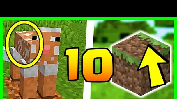 10 SECRETS SUR L'HERBE MINECRAFT 1.16