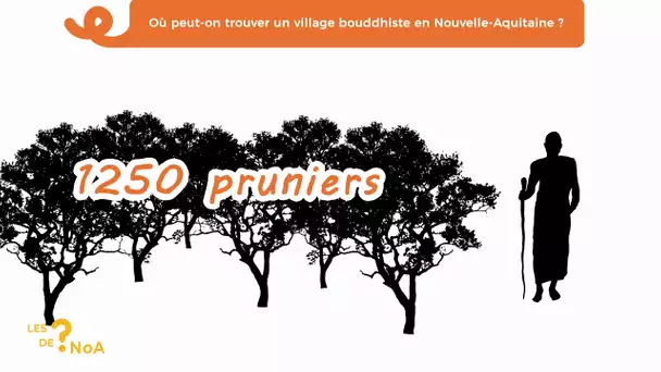 Les ? de Noa #50 : où peut-on trouver un village bouddhiste en Nouvelle-Aquitaine ?
