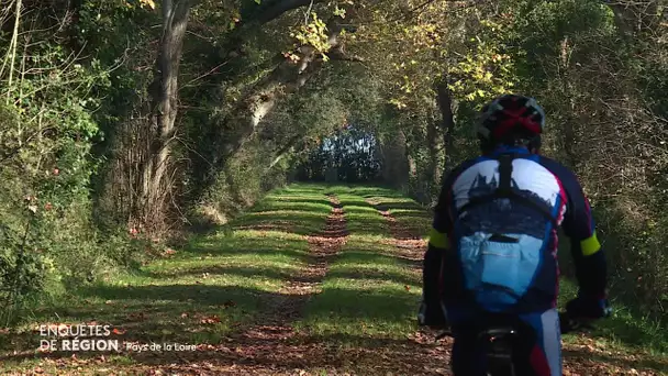 Le sport en mode "covidé" et "confiné"