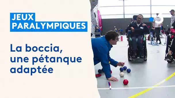 Championnats de France de boccia, une discipline paralympique, à Sainte-Luce-sur-Loire.