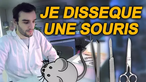 JE DISSÈQUE UNE SOURIS ! SciVlog #5