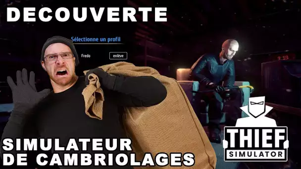 DÉCOUVERTE - Simulateur de Cambriolages (THIEF SIM)