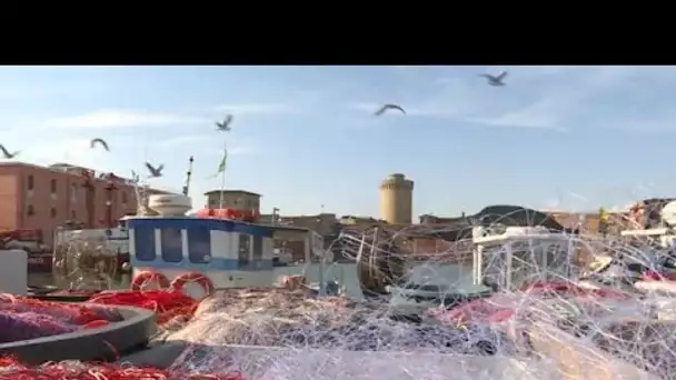 MEDITERRANEO – En Italie les pêcheurs professionnels sont associés à la lutte contre la pollution