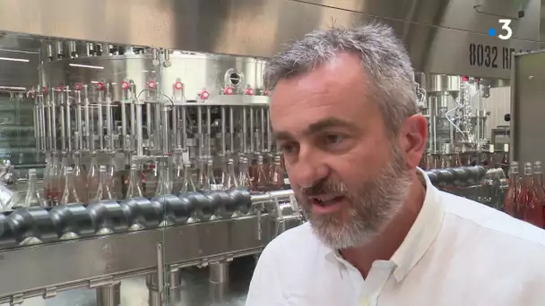 Limoux : une usine d’embouteillage touchée de plein fouet par la crise du coronavirus