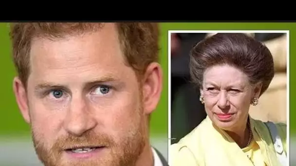 La comparaison de Harry avec Margaret critiquée car la princesse n'était pas une "pièce de rechange